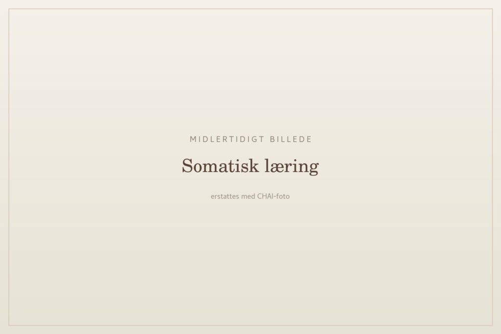 Midlertidigt billede – erstattes med CHAI-foto (Somatisk læring · træning)
